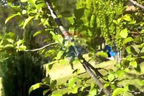 Slider Image Thumbnail