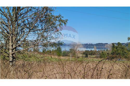 Venta Terreno Río bueno - Los Ríos