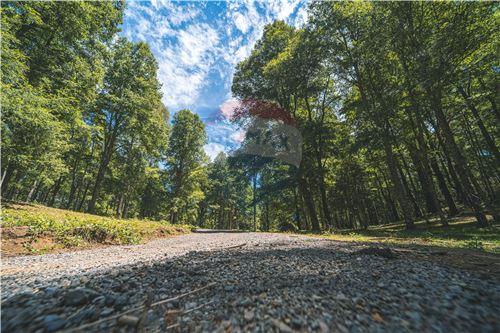 Slider Panorama Image Thumbnail