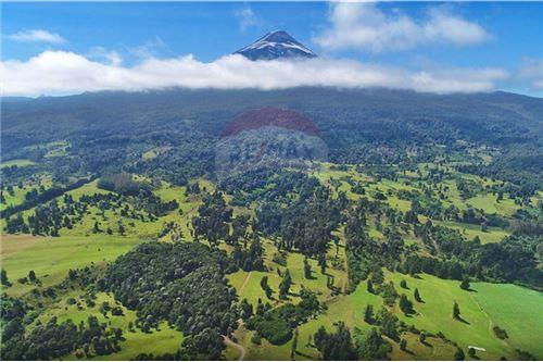 Venta Terreno Puerto Octay - Los Lagos