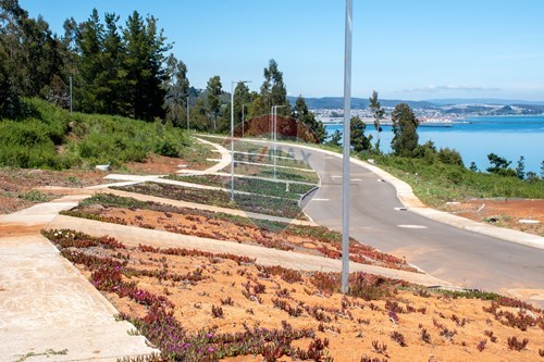 Slider Image Thumbnail