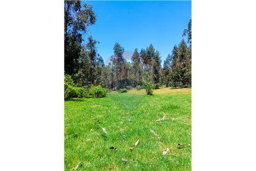 Venta Terreno Santa juana - Biobío