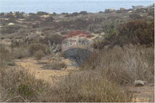 Residential - Lupa - Coquimbo, Elqui, Coquimbo - CL - 3 - 1028050001-299