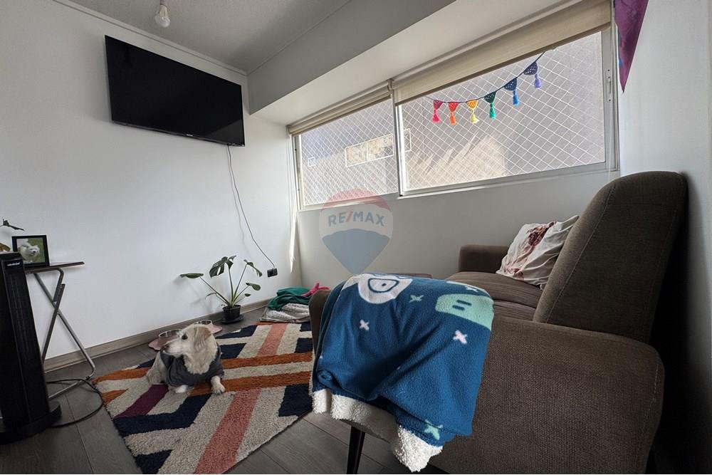 Residential - وحده سكنيه - Ñuñoa, Santiago, Metropolitana De Santiago - CL - IMG_5698.JPG - 1028076046-516