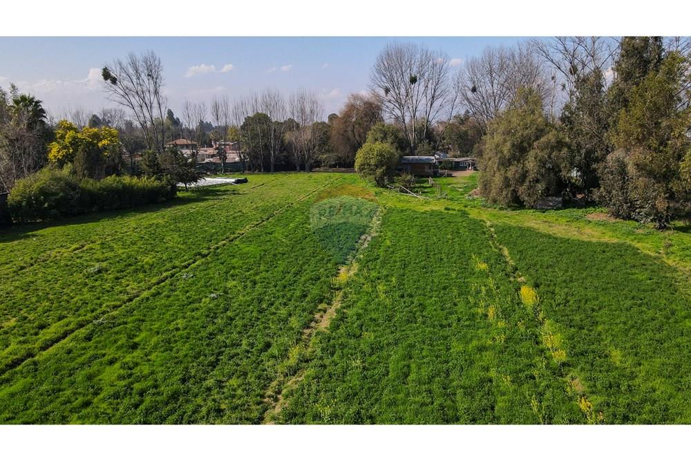 Comercial - Teren - San Bernardo, Maipo, Metropolitana De Santiago - CL - 24.jpg - 1028057154-69