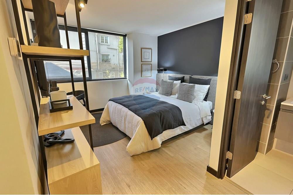 Rezidenčná - Byt - Providencia, Santiago, Metropolitana De Santiago - CL - 00c1ec0b9ef89454ef998c78a132edab6828b9ff.jpg - 1028101005-115