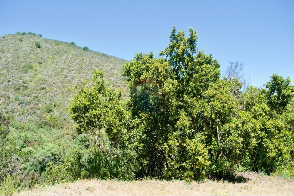 Residential - Plot of Land for Hospitality Development - Valparaíso, Valparaíso, Valparaíso - CL - 37. Parcelas Turbinas - DSC_0172.jpeg - 1028076010-499