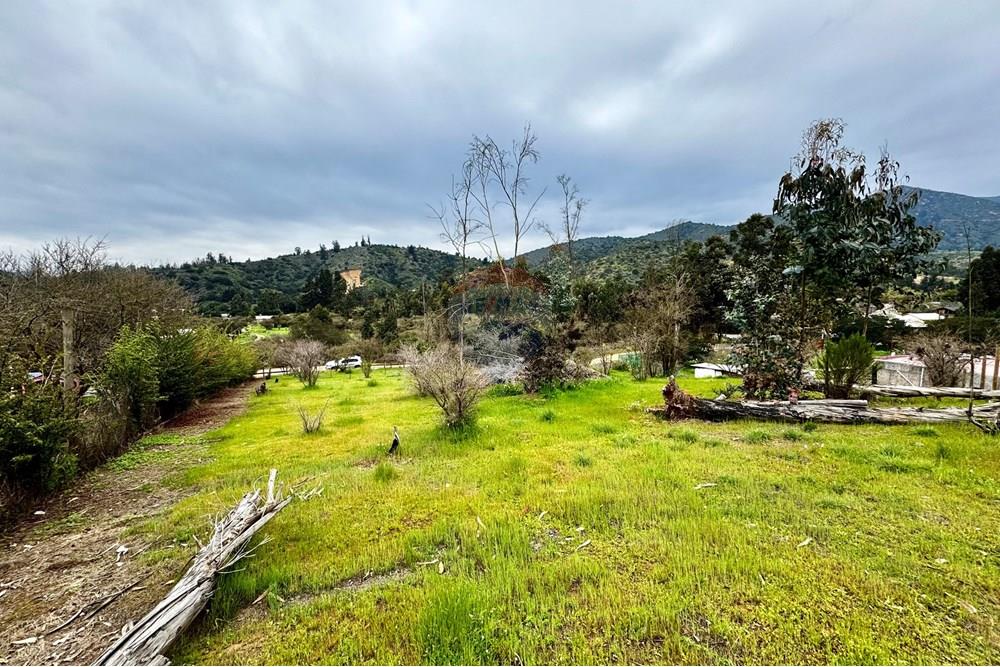 Rezidenčná - Pozemok - Casablanca, Valparaíso, Valparaíso - CL - IMG_7999.jpg - 1028037167-1425