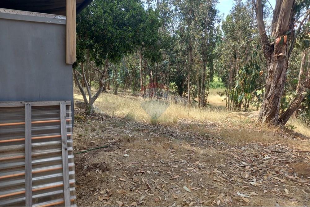 Residential - Ledig land - Litueche, Cardenal Caro, Libertador Gral. Bernardo O'Higgins - CL - Imagen de WhatsApp 2025-01-02 a las 15.22.16_abc97c77.jpg - 1028103011-35