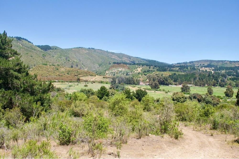 Residential - Plot of Land for Hospitality Development - Valparaíso, Valparaíso, Valparaíso - CL - 13. Parcelas Turbinas - DSC_0186.jpeg - 1028076010-499