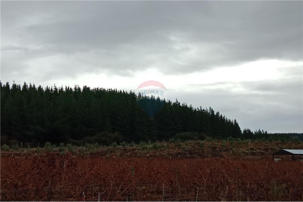 Residential - عقار ريفي - San Javier, Linares, Maule - CL - 33 - 1028098015-608