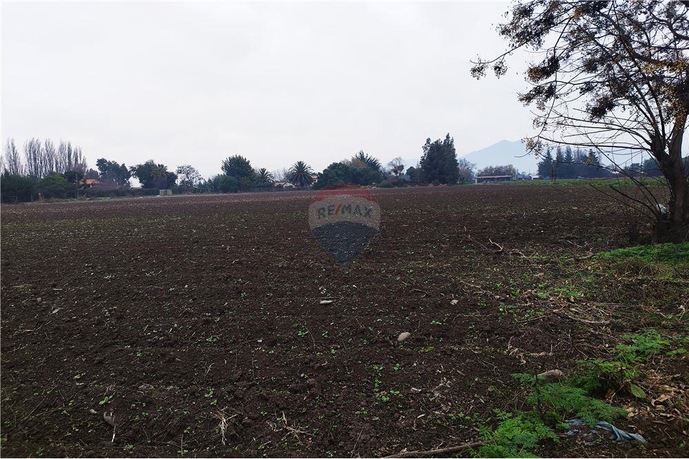 Residential - คฤหาสน์ชนบท - Talagante, Talagante, Metropolitana De Santiago - CL - อัลทานา - 1028091010-162