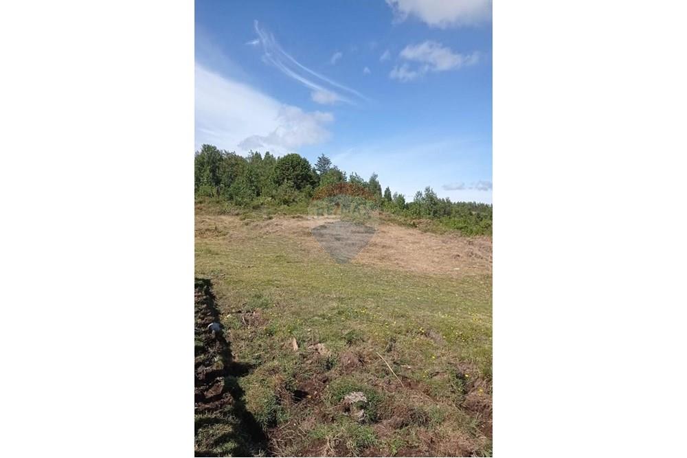 Woningbouw - Grond voor toek. bouw ontwikkeleing - Calbuco, Llanquihue, Los Lagos - CL - WhatsApp Image 2025-06-09 at 11.57.14 AM.jpeg - 1028109099-64