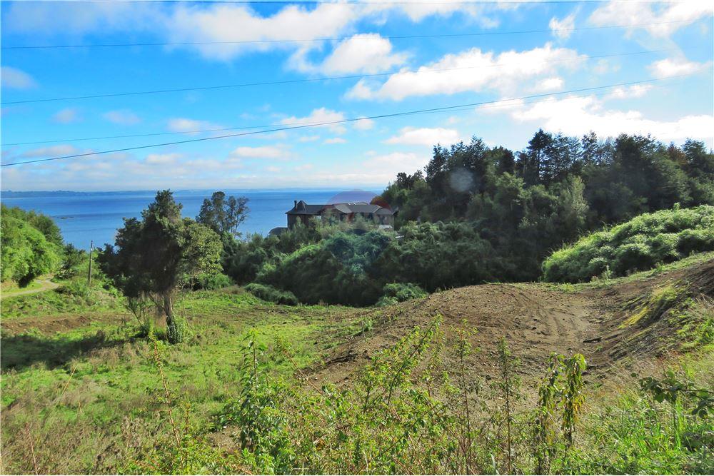 Residential - ที่ดินสำหรับอยู่อาศัย - Puerto Varas, Llanquihue, Los Lagos - CL - 9 - 1028076051-391