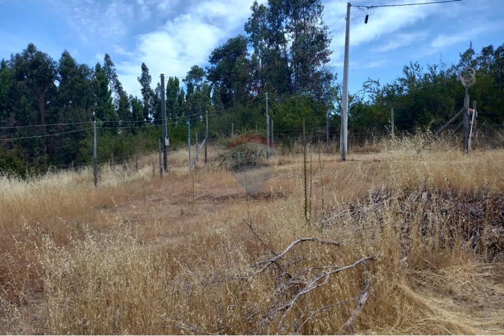 Residential - Ledig land - Litueche, Cardenal Caro, Libertador Gral. Bernardo O'Higgins - CL - Imagen de WhatsApp 2025-01-02 a las 15.22.15_114ba0c0.jpg - 1028103011-35