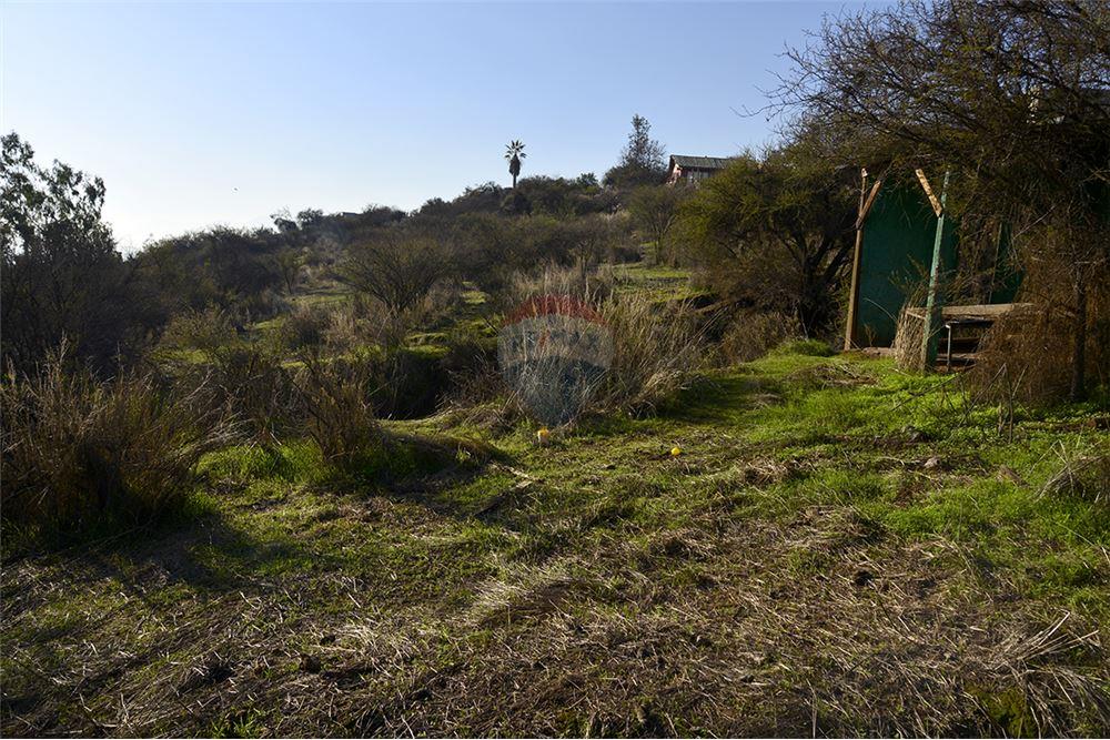 Residential - Угловой дом - La Florida, Santiago, Metropolitana De Santiago - CL - 3 - 1028057042-748