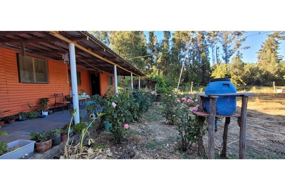 Residential - ਪਿੰਡ ਦਾ ਘਰ - Portezuelo, Itata, Ñuble - CL - 20250202_190303.jpg - 1028091021-98