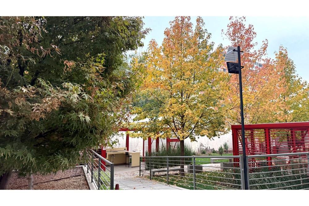 Elamine - Korter - Ñuñoa, Santiago, Metropolitana De Santiago - CL - exterior 8.jpeg - 1028050078-641