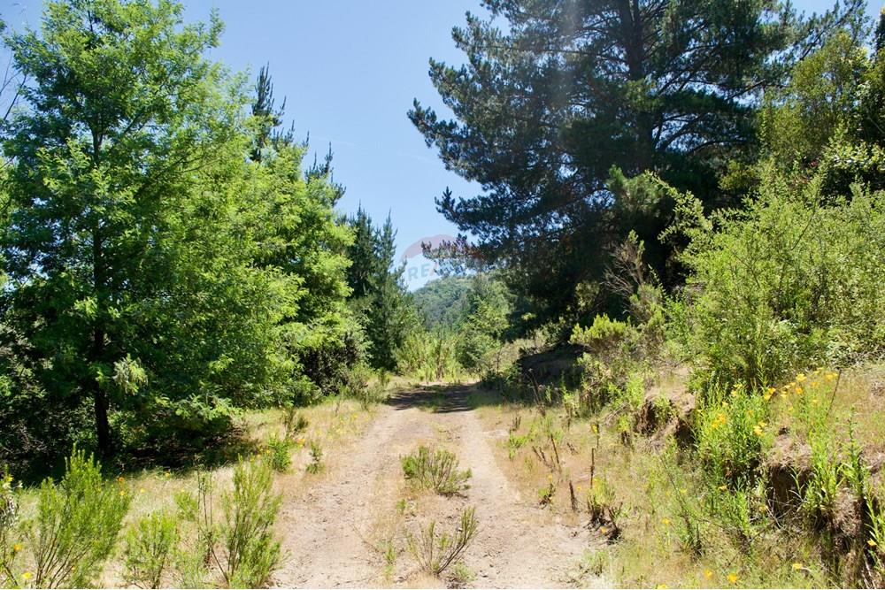 Residential - Plot of Land for Hospitality Development - Valparaíso, Valparaíso, Valparaíso - CL - 17. Parcelas Turbinas - DSC_0183.jpeg - 1028076010-499
