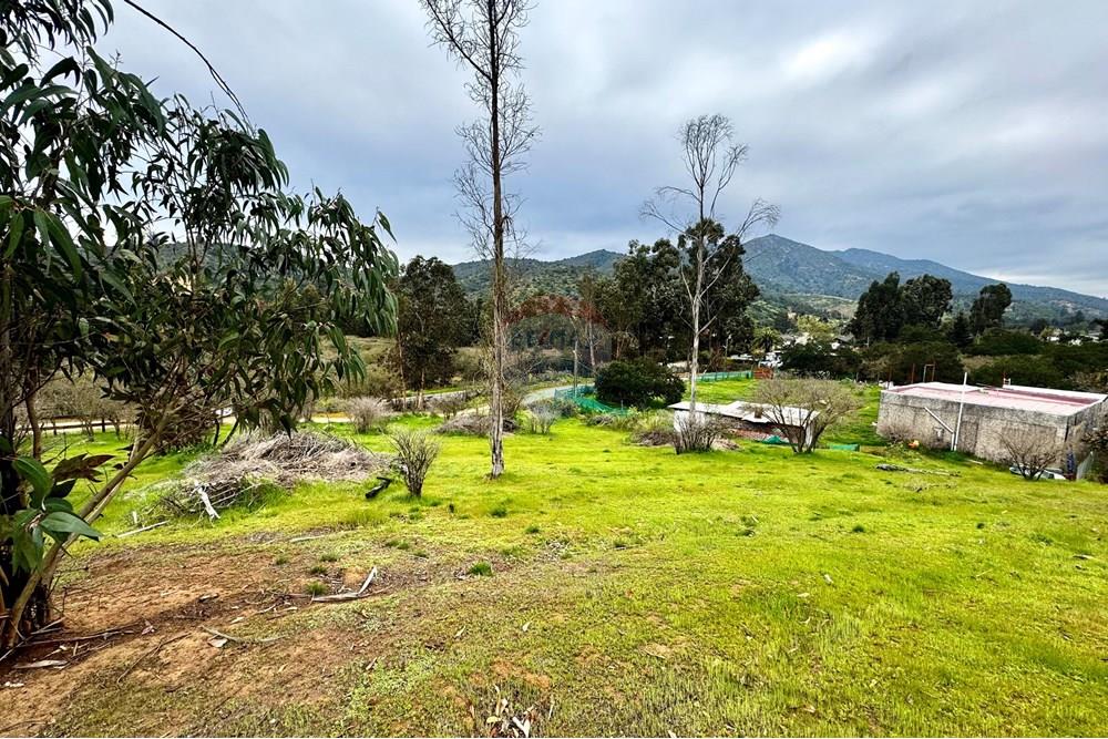 Rezidenčná - Pozemok - Casablanca, Valparaíso, Valparaíso - CL - IMG_8005.jpg - 1028037167-1425