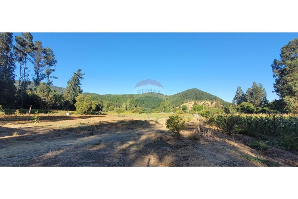 Residential - ਪਿੰਡ ਦਾ ਘਰ - Portezuelo, Itata, Ñuble - CL - 20250202_184347.jpg - 1028091021-98