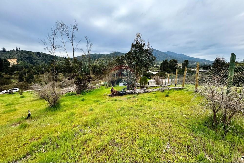 Rezidenčná - Pozemok - Casablanca, Valparaíso, Valparaíso - CL - IMG_8001.jpg - 1028037167-1425