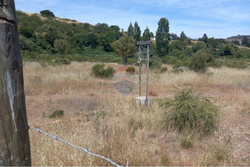 Residential - Ledig land - Litueche, Cardenal Caro, Libertador Gral. Bernardo O'Higgins - CL - Imagen de WhatsApp 2025-01-02 a las 15.22.13_4f57cdaf.jpg - 1028103011-35