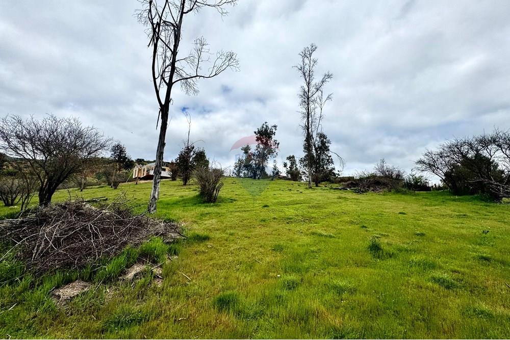 Rezidenčná - Pozemok - Casablanca, Valparaíso, Valparaíso - CL - IMG_8009.jpg - 1028037167-1425