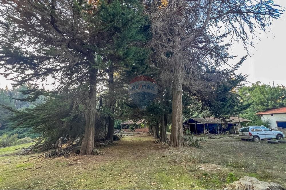 Komersyal - Lupa - Valparaíso, Valparaíso, Valparaíso - CL - 30.jpg - 1028102046-40