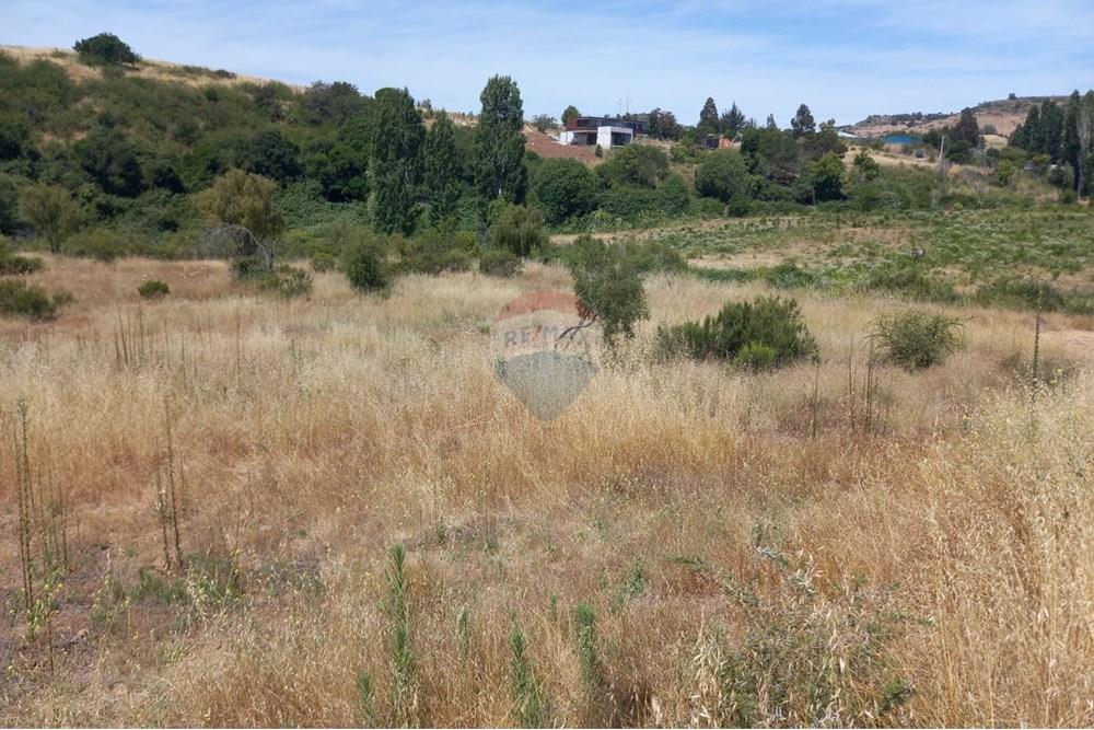 Residential - Ledig land - Litueche, Cardenal Caro, Libertador Gral. Bernardo O'Higgins - CL - Imagen de WhatsApp 2025-01-02 a las 15.22.13_44014604.jpg - 1028103011-35