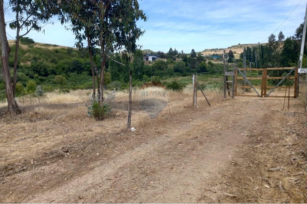 Residential - Ledig land - Litueche, Cardenal Caro, Libertador Gral. Bernardo O'Higgins - CL - Imagen de WhatsApp 2025-01-02 a las 15.22.17_42be04af.jpg - 1028103011-35