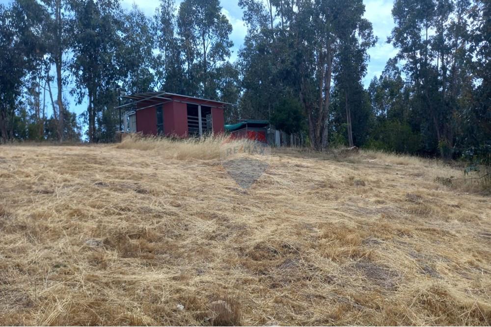 Residential - Ledig land - Litueche, Cardenal Caro, Libertador Gral. Bernardo O'Higgins - CL - Imagen de WhatsApp 2025-01-02 a las 15.22.14_8fec82c1.jpg - 1028103011-35