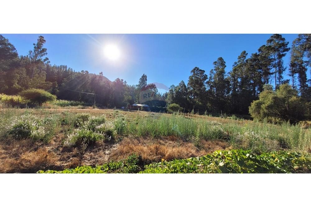 Residential - ਪਿੰਡ ਦਾ ਘਰ - Portezuelo, Itata, Ñuble - CL - 20250202_184917.jpg - 1028091021-98