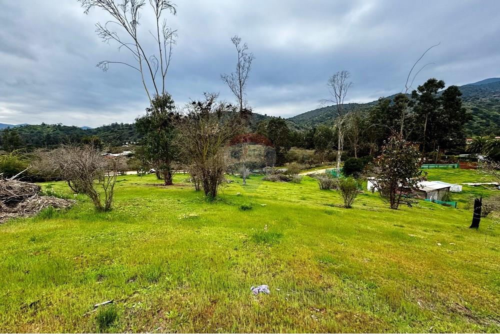 Rezidenčná - Pozemok - Casablanca, Valparaíso, Valparaíso - CL - IMG_7997.jpg - 1028037167-1425