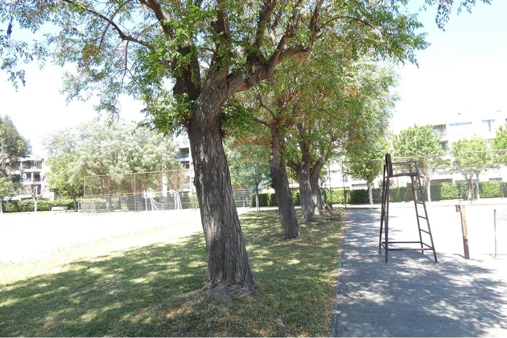 Residencial - Piso - Maipú, Santiago, Metropolitana De Santiago - CL - P1170678.JPG - 1028018333-433