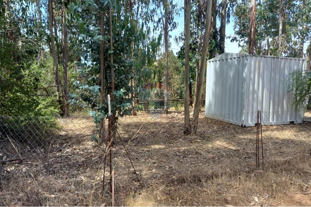 Residential - Ledig land - Litueche, Cardenal Caro, Libertador Gral. Bernardo O'Higgins - CL - Imagen de WhatsApp 2025-01-02 a las 15.22.17_48184561.jpg - 1028103011-35