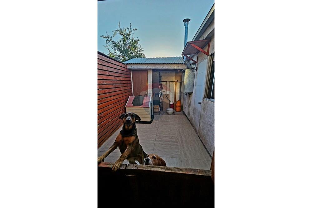 居住用物件 - 戸建 - Pudahuel, Santiago, Metropolitana De Santiago - CL - 8.jpeg - 1028112022-22