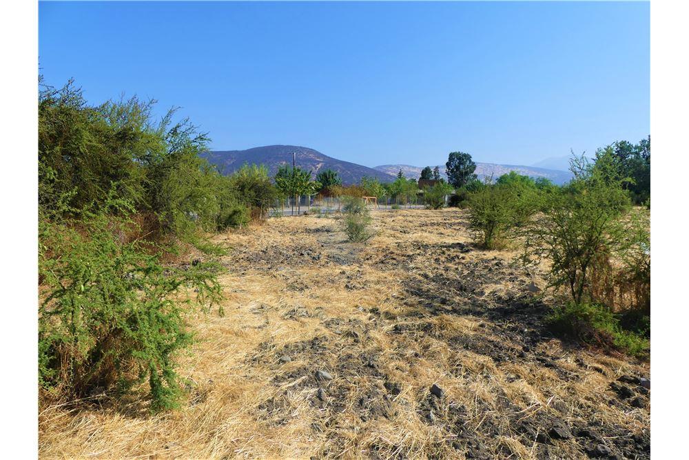 Konut - Arazi - Colina, Chacabuco, Metropolitana De Santiago - CL - 14 - 1028018148-405