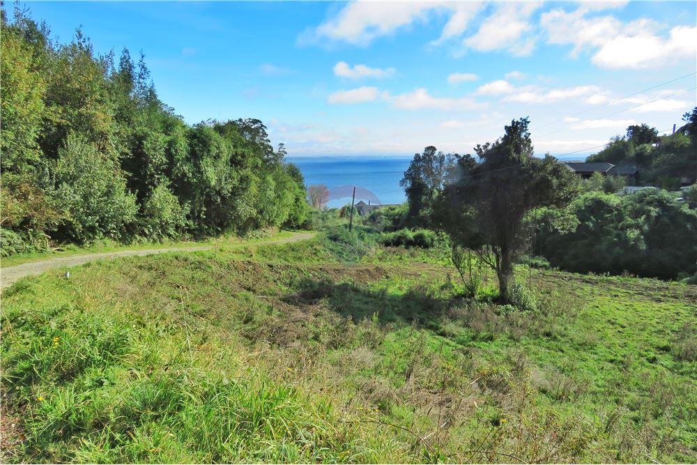 Residential - ที่ดินสำหรับอยู่อาศัย - Puerto Varas, Llanquihue, Los Lagos - CL - 5 - 1028076051-391
