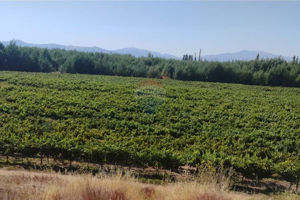 Residential - عقار ريفي - San Javier, Linares, Maule - CL - PHOTO-2025-02-19-12-09-28_2.jpg - 1028098015-608