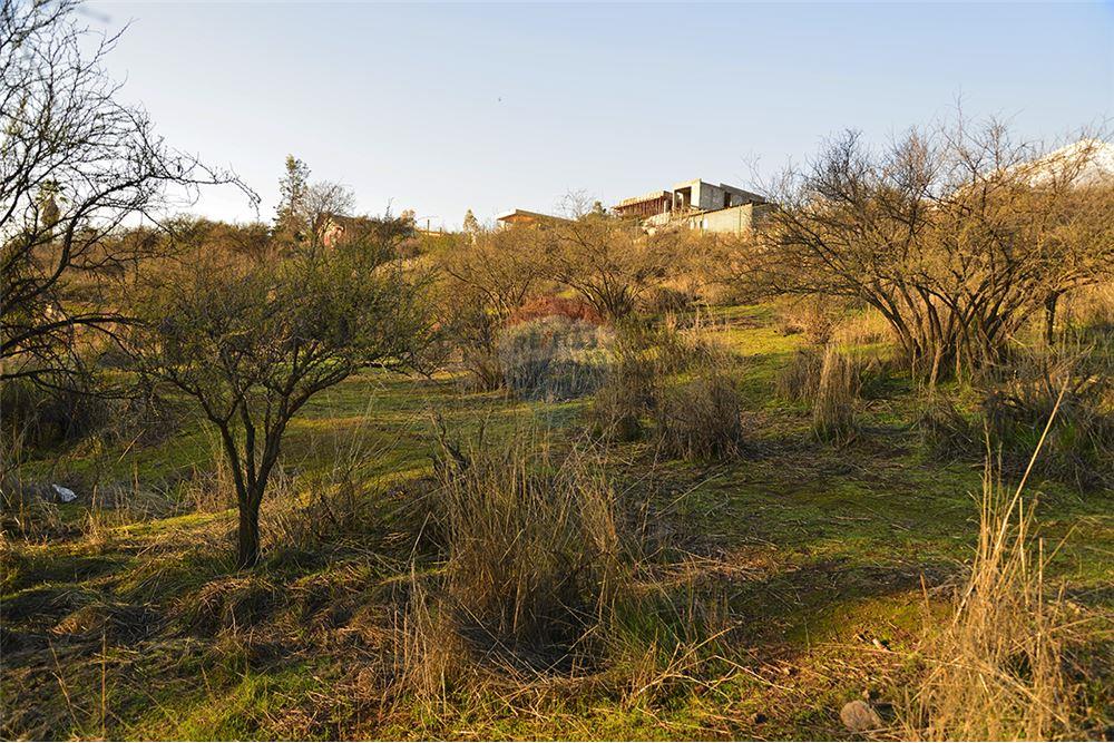 Residential - Угловой дом - La Florida, Santiago, Metropolitana De Santiago - CL - 9 - 1028057042-748