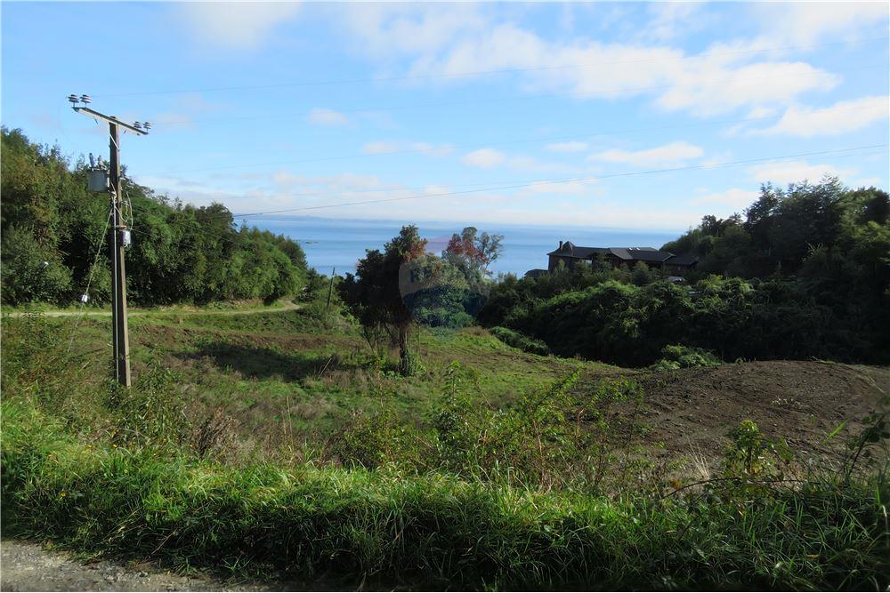 Residential - ที่ดินสำหรับอยู่อาศัย - Puerto Varas, Llanquihue, Los Lagos - CL - 13 - 1028076051-391