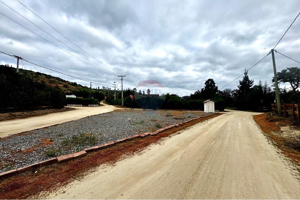 Rezidenčná - Pozemok - Casablanca, Valparaíso, Valparaíso - CL - IMG_8015.jpg - 1028037167-1425