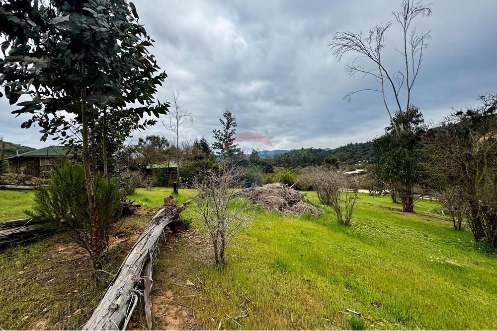 Rezidenčná - Pozemok - Casablanca, Valparaíso, Valparaíso - CL - IMG_7996.jpg - 1028037167-1425