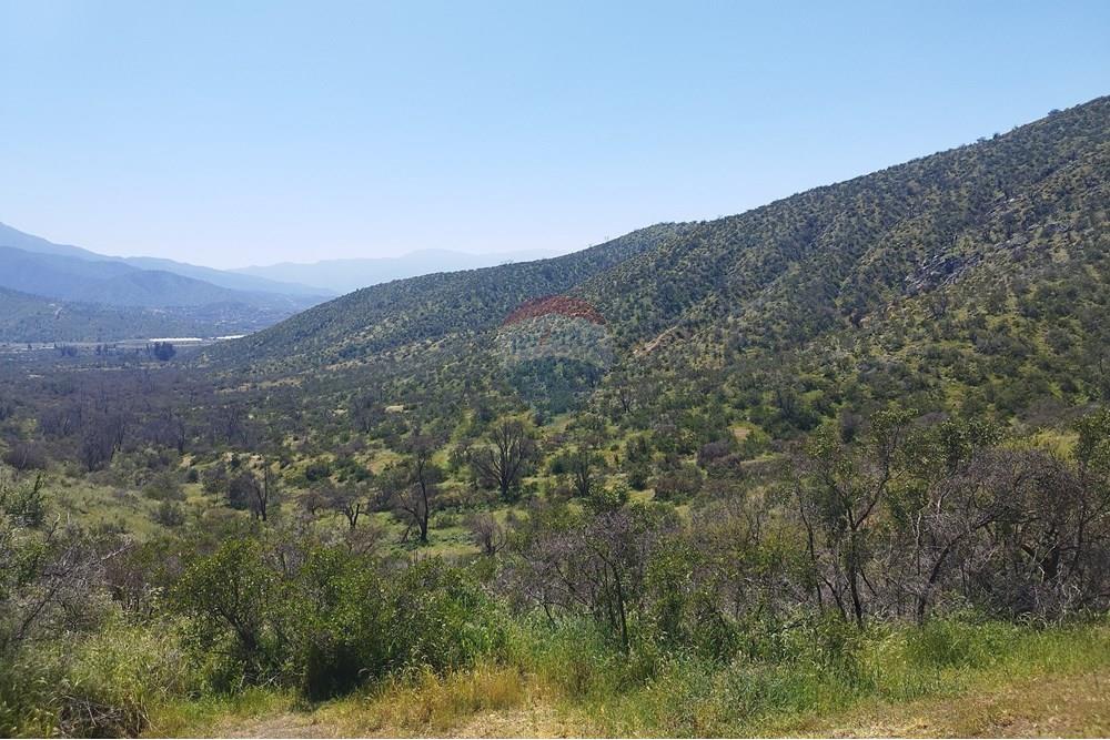 Residential - Land - Curacaví, Melipilla, Metropolitana De Santiago - CL - 6.jpg - 1028091010-163