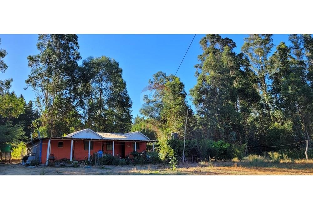 Residential - ਪਿੰਡ ਦਾ ਘਰ - Portezuelo, Itata, Ñuble - CL - 20250202_190140.jpg - 1028091021-98