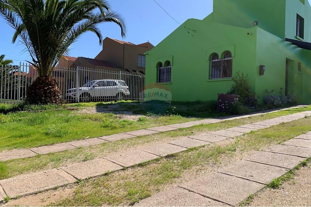 Elamine - Eramu - Coquimbo, Elqui, Coquimbo - CL - IMG_0308.jpg - Muu - 1028018333-414