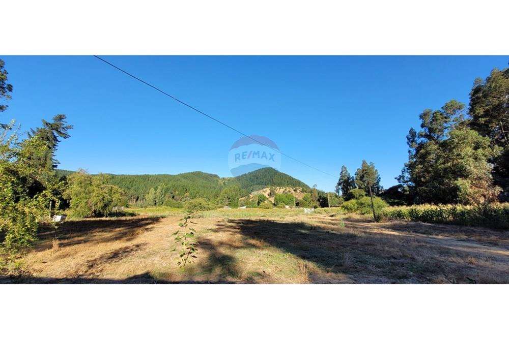 Residential - ਪਿੰਡ ਦਾ ਘਰ - Portezuelo, Itata, Ñuble - CL - 20250202_190335.jpg - 1028091021-98