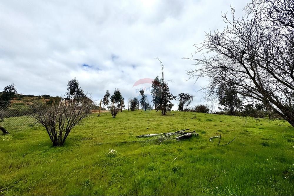 Rezidenčná - Pozemok - Casablanca, Valparaíso, Valparaíso - CL - IMG_8008.jpg - 1028037167-1425