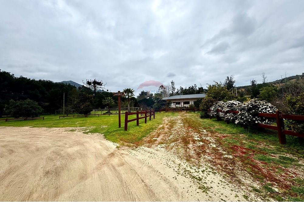 Rezidenčná - Pozemok - Casablanca, Valparaíso, Valparaíso - CL - IMG_8025.jpg - 1028037167-1425